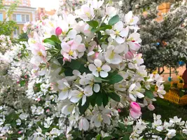 265362C4-FD0B-48CF-AD22-A3028DED1B4E.webp