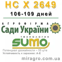 ns-h-2649-500x500.webp
