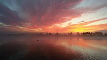 20160826_044048.webp