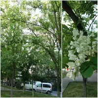20190518_100628.webp