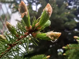 IMG_20190514_132430_HDR.webp