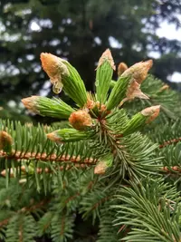 IMG_20190514_131640_HDR.webp