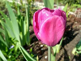 IMG_20190510_085539_HDR.webp