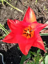 IMG_20190510_081538_HDR.webp