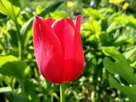 IMG_20190510_081600_HDR.webp