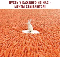 RxwgkRvtEA0.webp