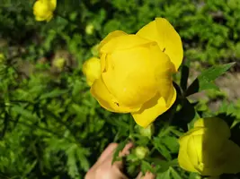 IMG_20190519_091639.webp