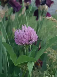 20190520_192734-2322x3096.webp