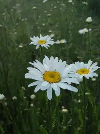 20190520_192815-2322x3096.webp