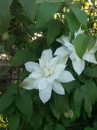 20190520_190859-2322x3096.webp