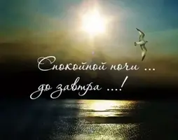 18D66E4B-122F-4C8D-94D4-69F6689A7862.webp