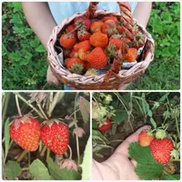 20190524_201557.webp
