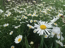 20190524_184020-3096x2322.webp