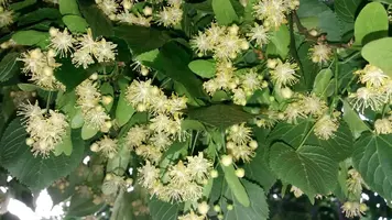 изображение_viber_2019-05-28_10-21-28,1.webp