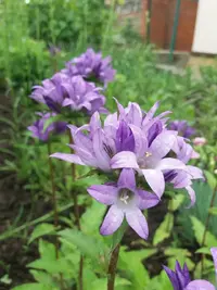 изображение_viber_2019-05-28_10-21-28,2.webp