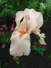 изображение_viber_2019-05-28_10-21-29,1.webp