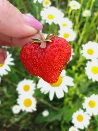 20190529_201808-1881x2508.webp