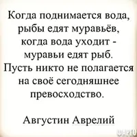 APasfKeAZu8.webp