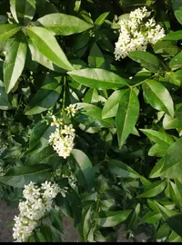 Screenshot_2019-05-31-18-36-40-956_com.miui.gallery.webp