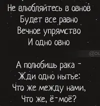 8DF34F3E-D077-4F22-A440-8B07850F2FEB.webp
