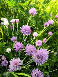 IMG_20190603_174206.webp