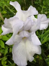 IMG_20190603_131202.webp