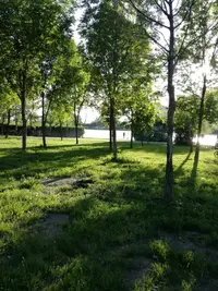 IMG-20190526-WA0001.webp