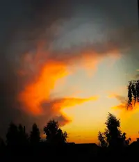 PSX_20190604_162614.webp