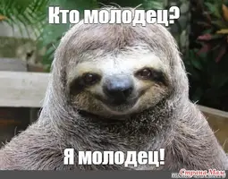 24923287_35002-650x0.webp