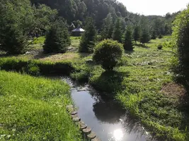 IMG_20190608_161456.webp