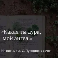 lBDsLjyfMPc.webp