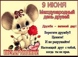 druzzz_0.webp