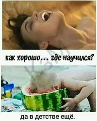 Q08jVp16fxY.webp