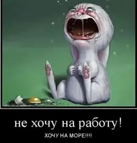 7097179D-E452-4393-9A13-8011E6CD4255.webp