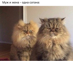 C9E9C6C6-C2DC-46DA-92A3-D450A8DFE8BF.webp