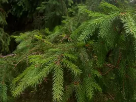 IMG_20190613_174907-1600x1200.webp