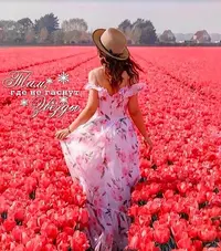 BD022202-F626-4A00-A843-BB031CD21FC6.webp