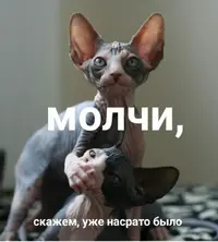 Screenshot_2019-06-13-20-21-55-1.webp