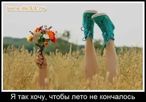 21615_boro.da33.ru.webp