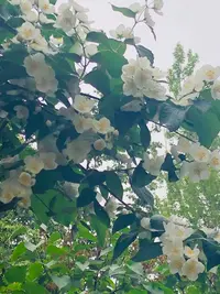 B5443660-E791-496C-A364-EFA5EBD70320.webp