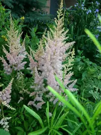20190615_125145-1881x2508.webp