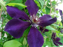 20190615_124931-2508x1881.webp