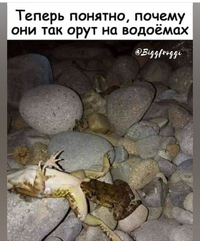 IMG-20190615-WA0009.webp