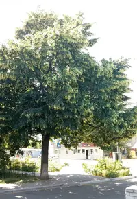 20190616_120153-1635x2369.webp