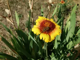 20190616_100005-3096x2322.webp
