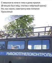 BB35A4AA-2178-4C19-AA70-D876AF12A7A7.webp