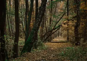 9elG70GY5Zc.webp