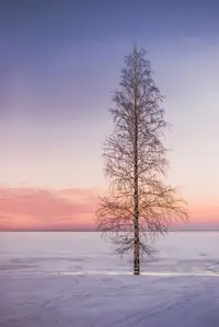 JM_qNq07Av0.webp