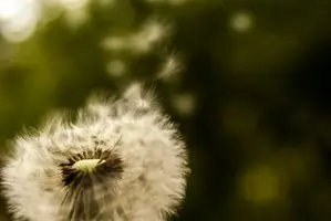 hor5FthSQ1A.webp