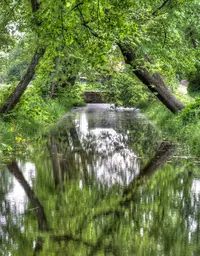 aTbKezVisrU.webp